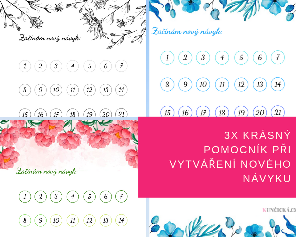 Jak začít nový návyk? - 3x krásný pomocník k tisku 12 navyky nahled