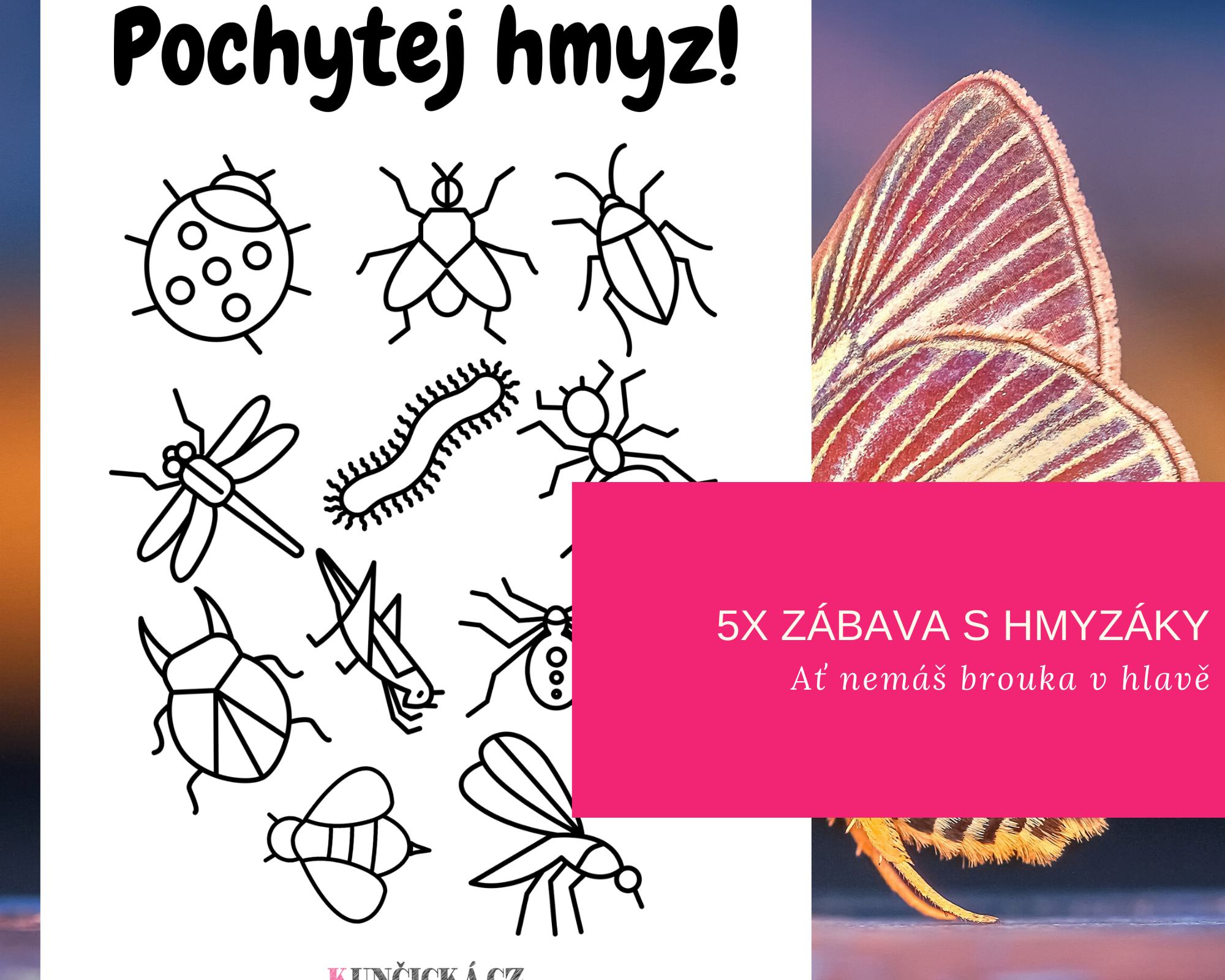 chytni brouky teaser