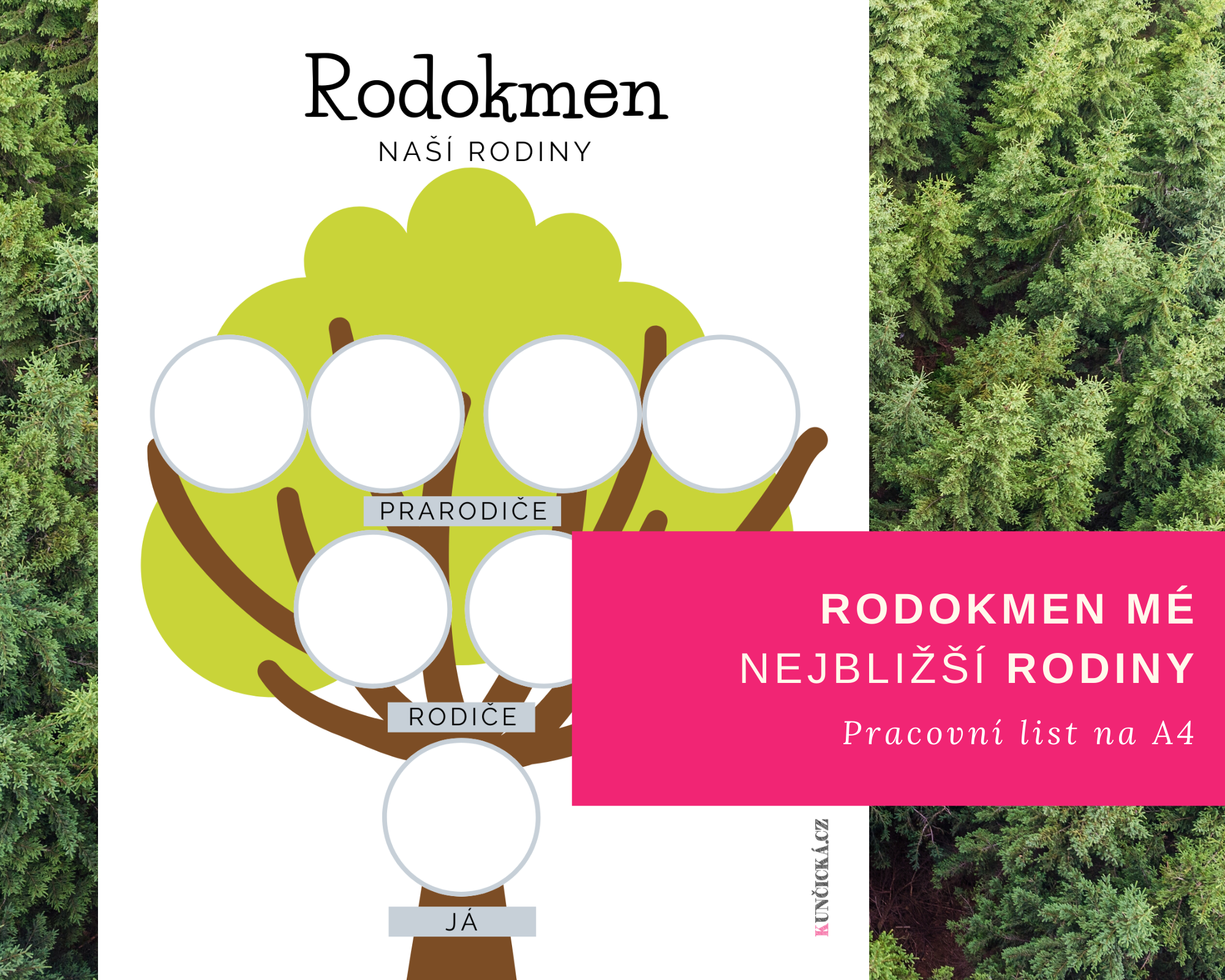 Pracovní list RODOKMEN mé nejbližší rodiny 12 rodokmen teaser