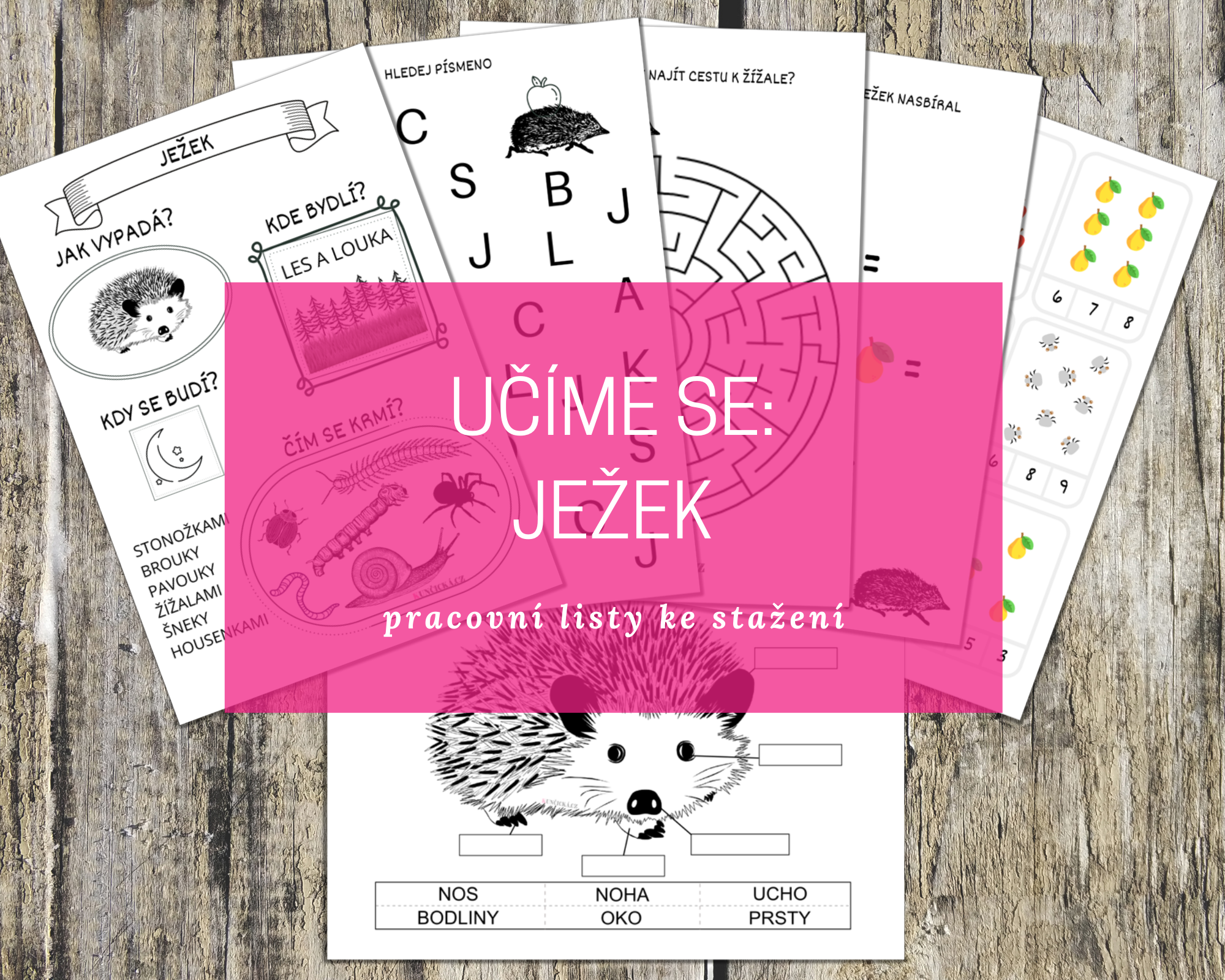 JEŽEK pracovní listy a další aktivity pro děti 7 jezek blog