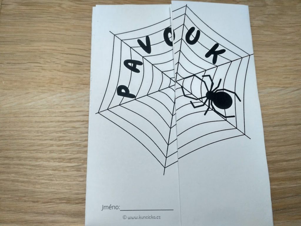 lapbook pavouk