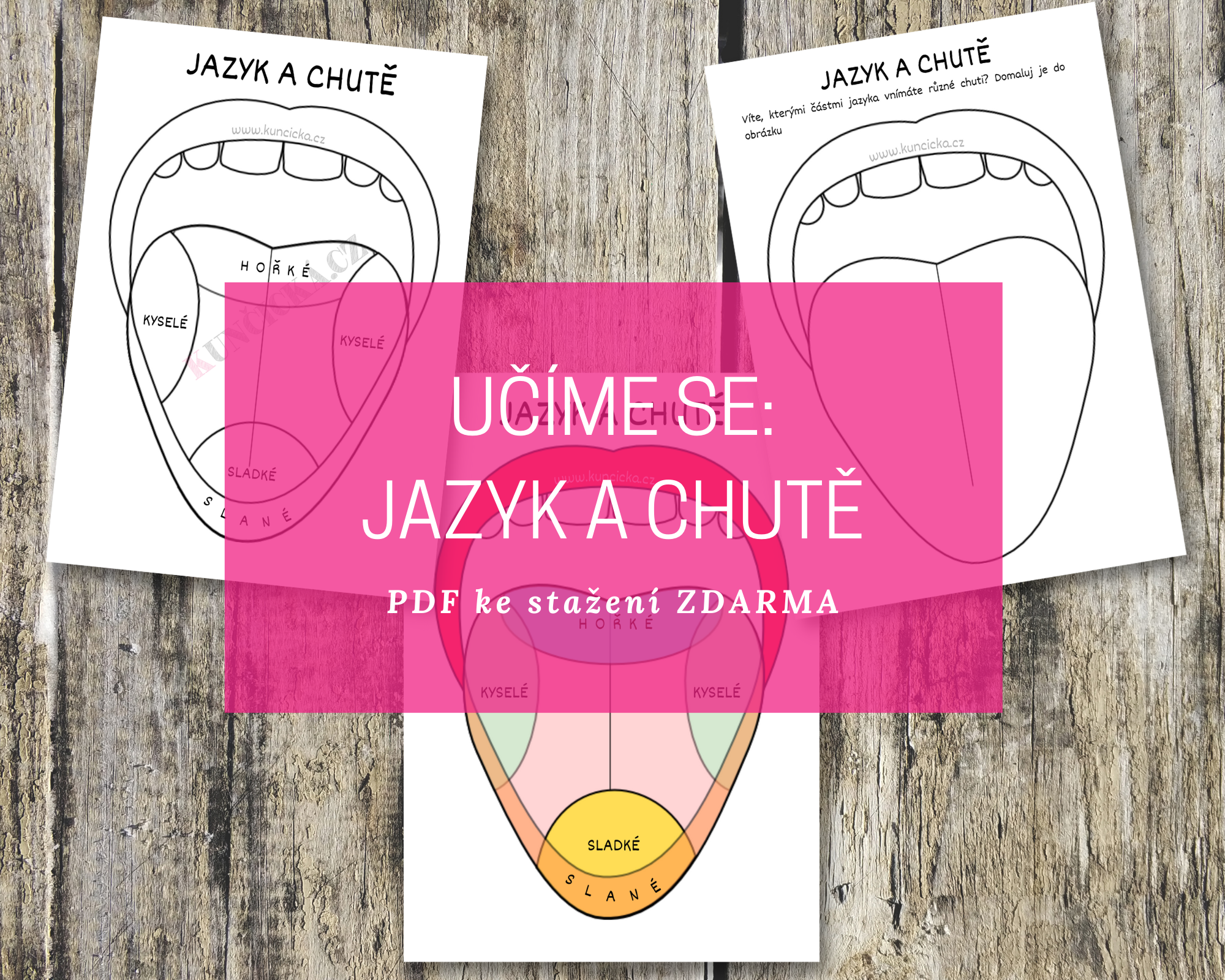 Učíme se: Jazyk a chutě - pracovní listy a aktivity 25 jazyk blog