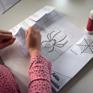 pdf lapbook o pavoucích
