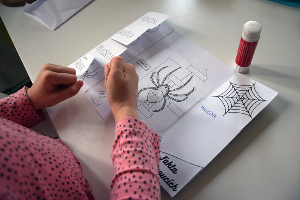 pdf lapbook o pavoucích