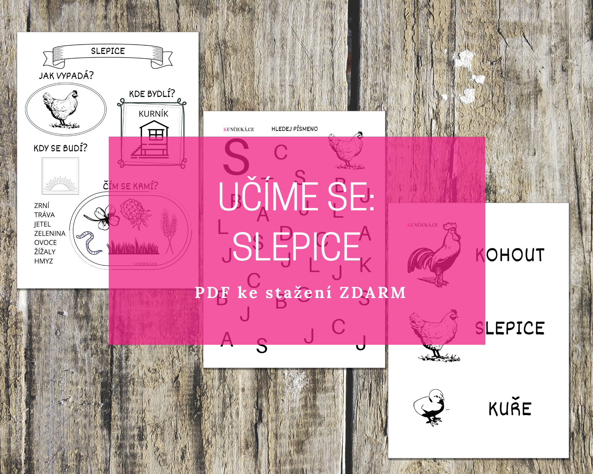 UČÍME SE NA TÉMA: SLEPICE 1 slepice blog