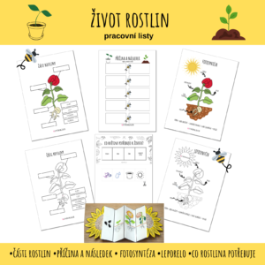pracovní listy život rostlin
