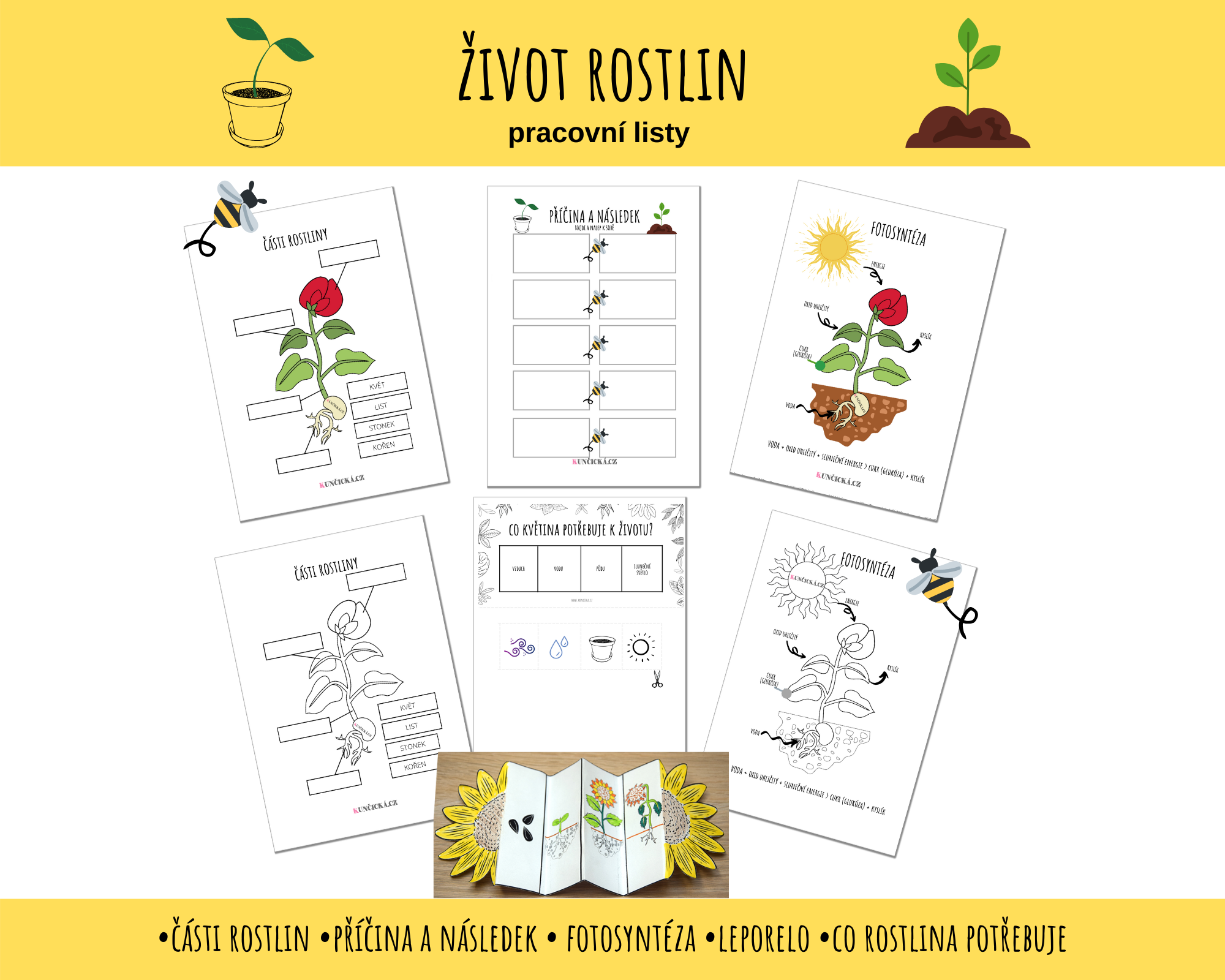 Život rostlin - pracovní listy 197 pracovní listy život rostlin