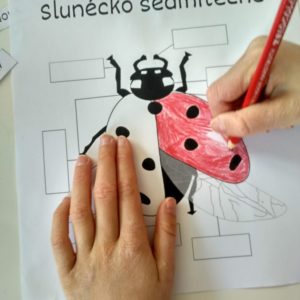 Slunéčko sedmitečné - pracovní listy 3 IMG 20210505 094656 HDR