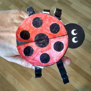 Slunéčko sedmitečné - pracovní listy 4 IMG 20210505 164721 HDR