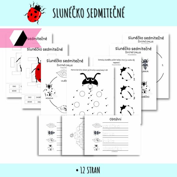 Slunéčko sedmitečné - pracovní listy 1 slunéčko sedmitečné