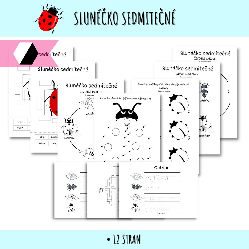 Slunéčko sedmitečné - pracovní listy 196 slunéčko sedmitečné