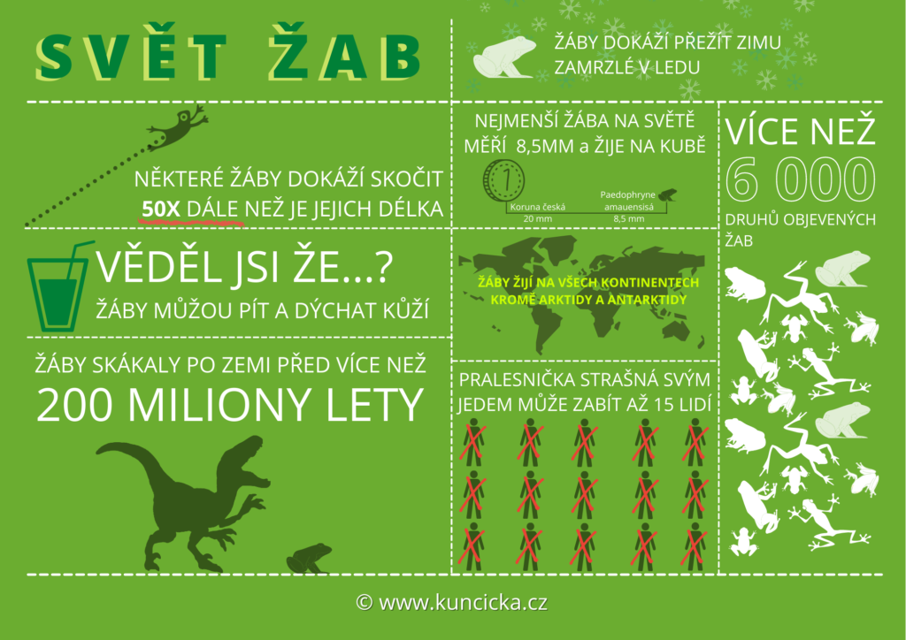 zaby infografika2