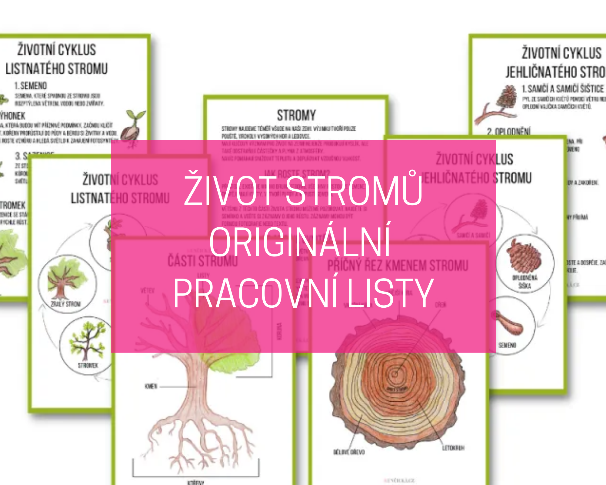 zivot strom blog