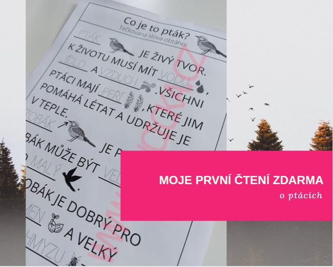 Moje první čtení - Co je to PTÁK? 2 prvni cteni ptak