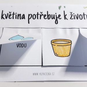 Malý zahradník - zahradničení pro předškoláky 3 kvetinky zahradnik