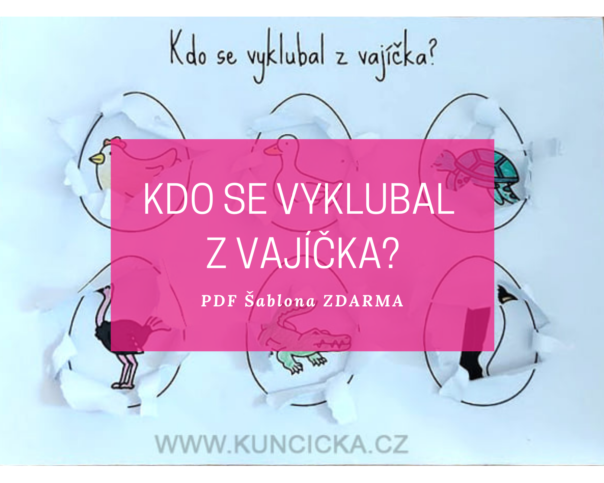 Zábavná jarní aktivita - kdo se vyklubal z vajíčka? 12 vajco blog