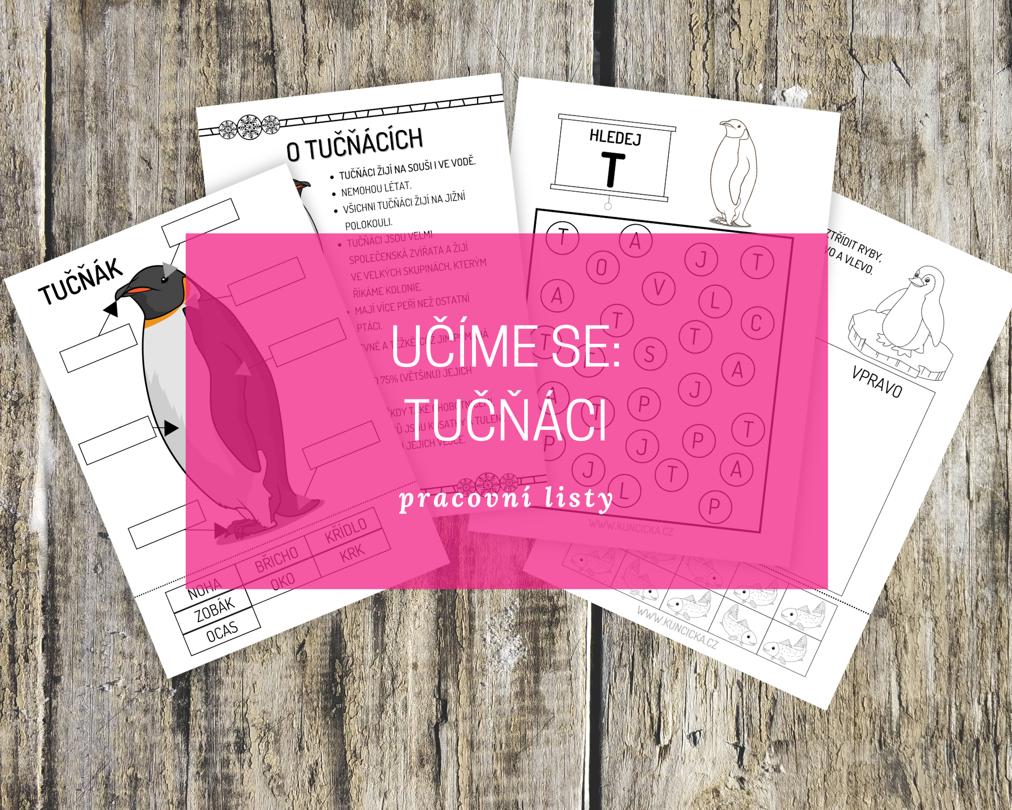 Učíme se na téma: TUČŇÁCI - pracovní listy 1 pracovní listy tučňáci
