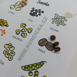 Malý zahradník - zahradničení pro předškoláky 4 malý zahradník