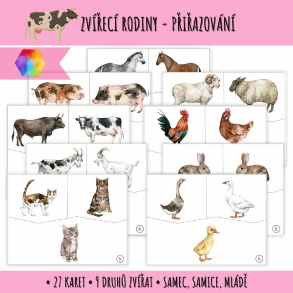 Zvířecí rodiny - přiřazování 1 zvířecí rodiny