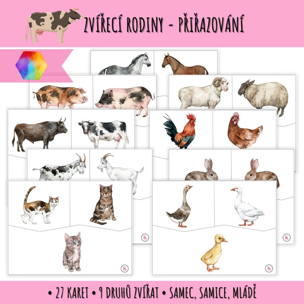 Zvířecí rodiny - přiřazování 173 zvířecí rodiny