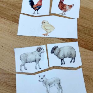 Zvířecí rodiny - přiřazování 3 zvířecí rodiny