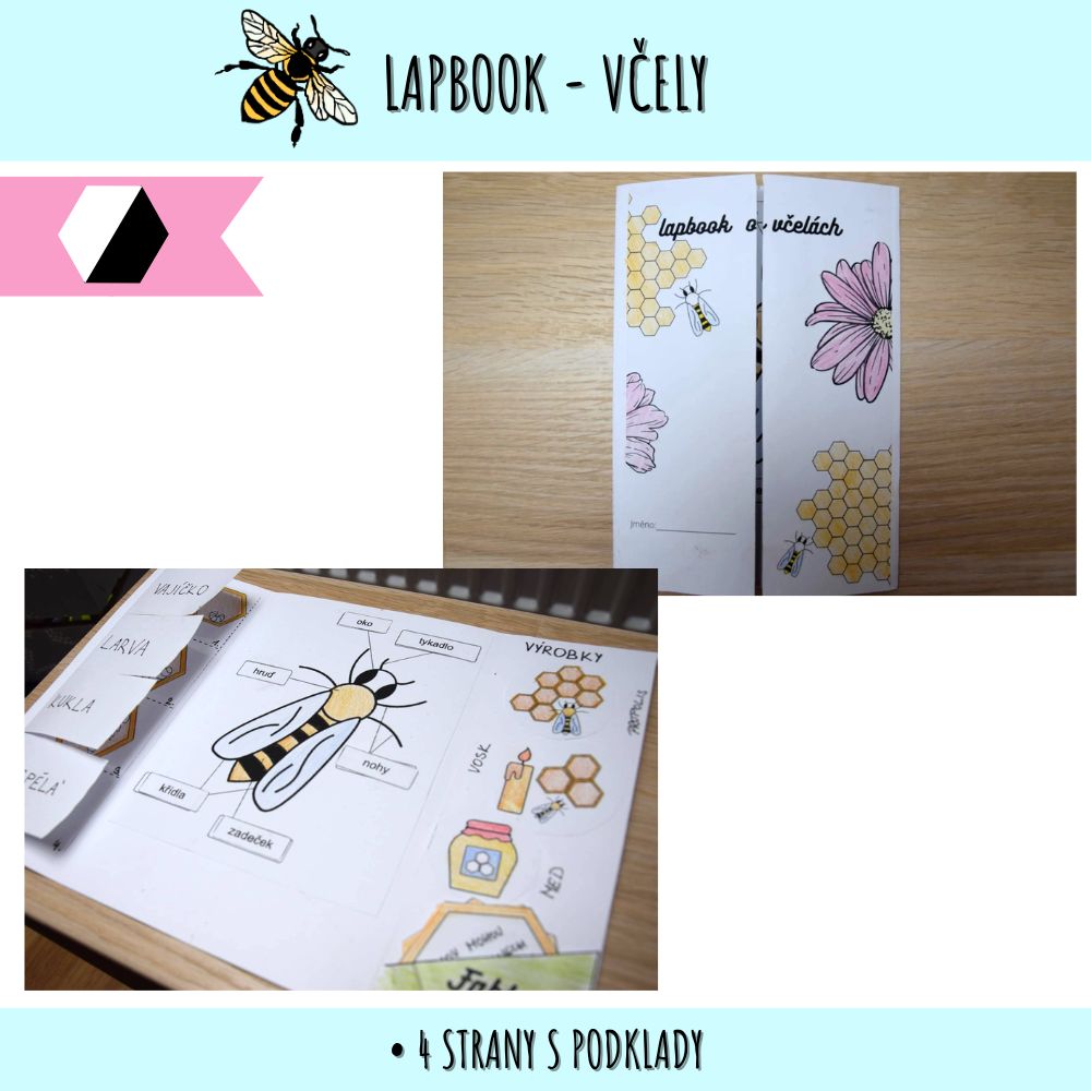 Lapbook včely - PDF podklady 156 lapbook včely