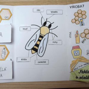 Lapbook včely - PDF podklady 3 lapbook včely