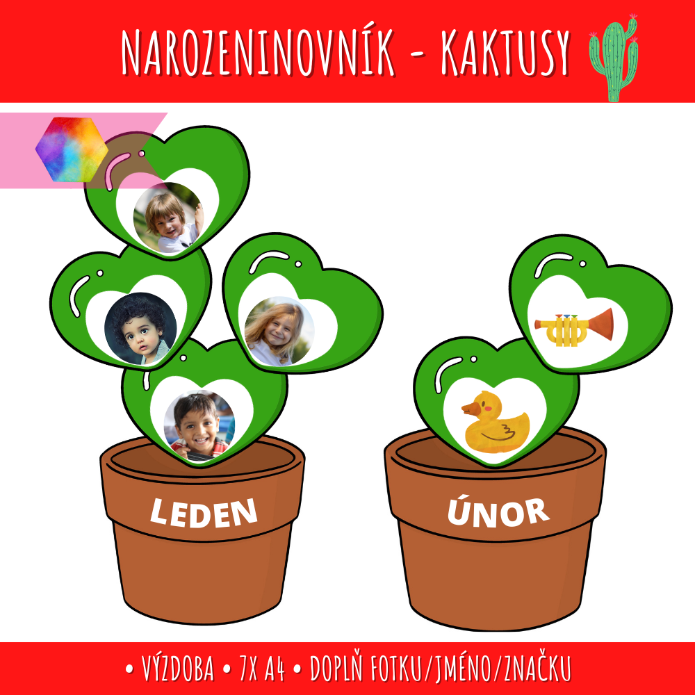 Kaktusový narozeninovník 139 narozeninovník