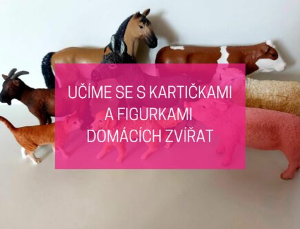 Učíme se s figurkami Schleich: Stáhněte si kartičky k domácím zvířatům 17 kartičky domácí zvířata