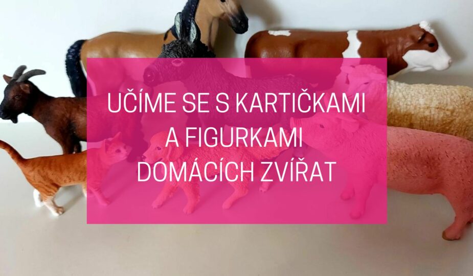 kartičky domácí zvířata