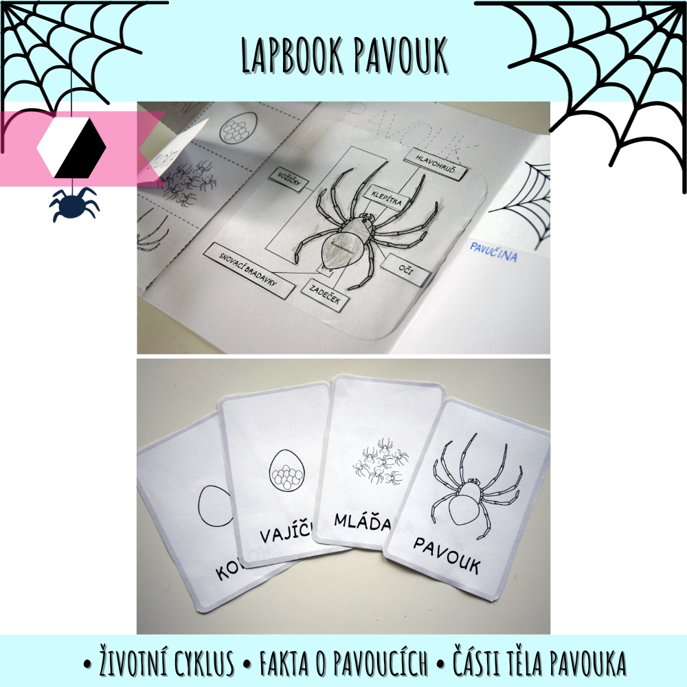 Lapbook o pavoucích - soubor s podklady 122 PDF lapbook o pavoucích