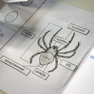PDF lapbook o pavoucích