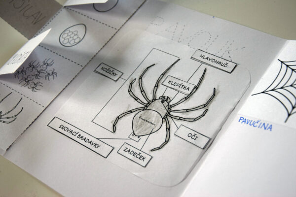 PDF lapbook o pavoucích