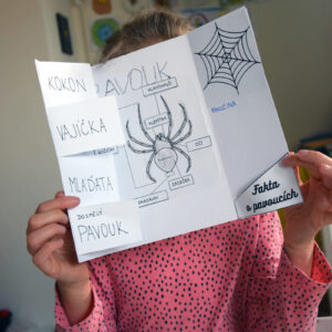 lapbook o pavoucich2