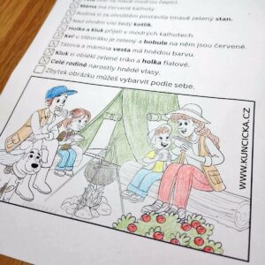 čtení s porozuměním