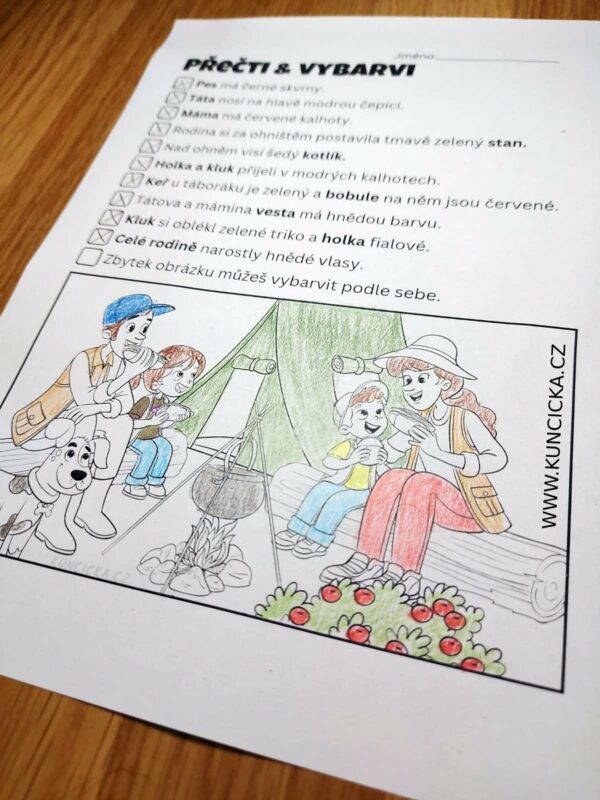 čtení s porozuměním