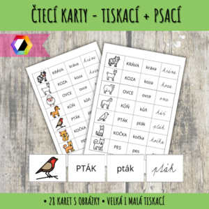 čtecí karty
