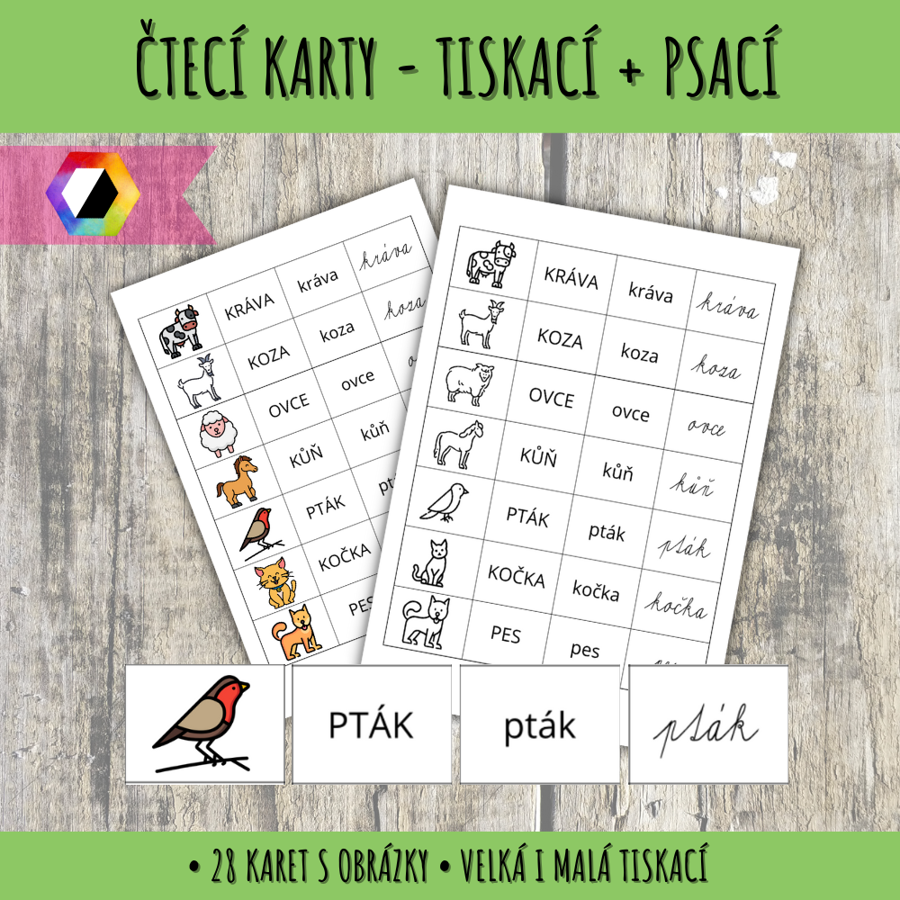 Čtecí karty - velké, malé, psací písmo 101 čtecí karty
