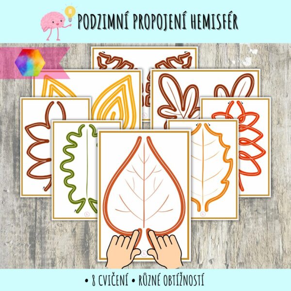 podzimní propojení mozku