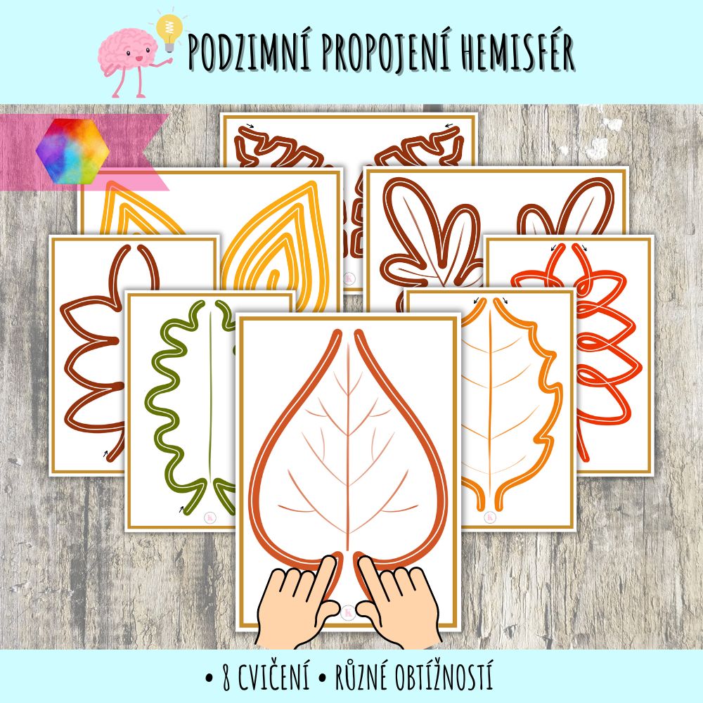 Podzimní propojení hemisfér mozku 70 podzimní propojení mozku