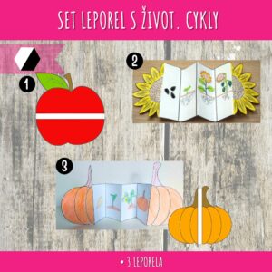 SET leporela s životními cykly - dýně, jablko, slunečnice 2 set leporel zivotni cykly0
