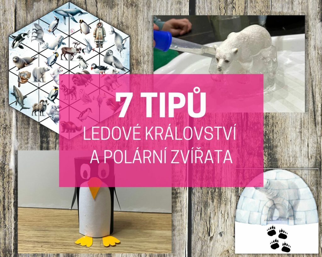 Ledové království a polární zvířata: 7 tipů pro děti 14 ledové království a polární zvířata náhled
