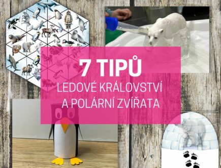 Ledové království a polární zvířata: 7 tipů pro děti 6 ledové království a polární zvířata náhled