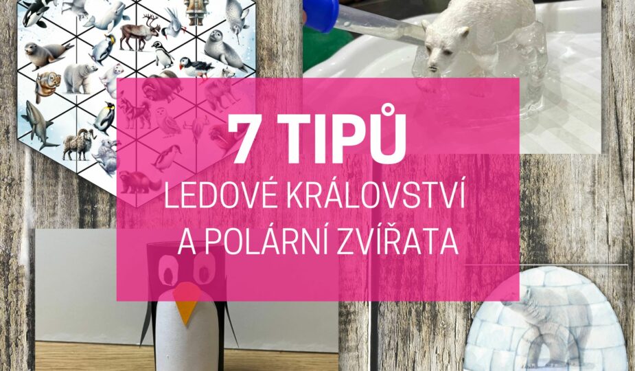 ledové království a polární zvířata náhled