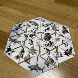 PDF polární zvířata + země ledu a sněhu 4 PDF polární zvířata