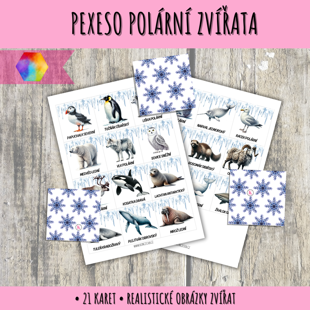 Pexeso polární zvířata v PDF 55 pexeso polární zvířata