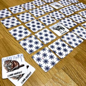 Pexeso polární zvířata v PDF 3 pexeso polární zvířata