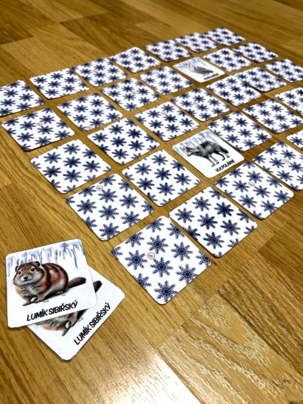 pexeso polární zvířata