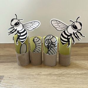 Včely - aktivity pro předškoláky 6 vcely aktivity pro predskolaky3