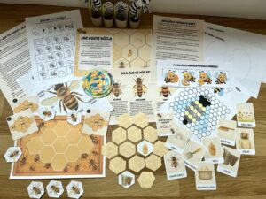 Včely - aktivity pro předškoláky 7 včely - aktivity pro předškoláky